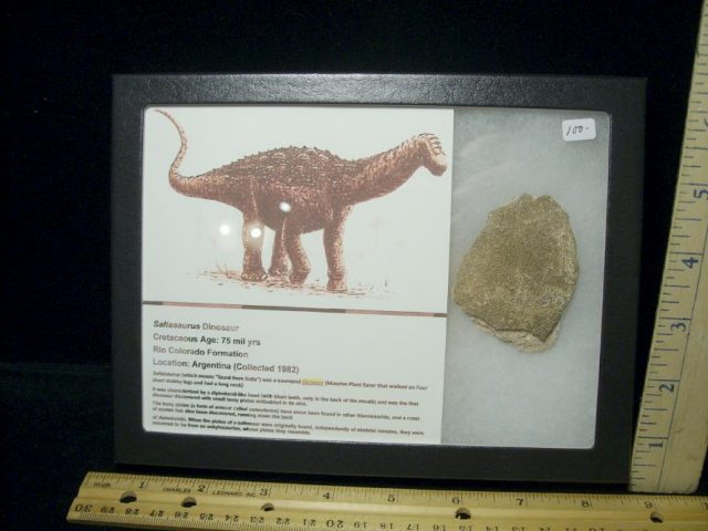 Dinosaur Egg  Shell Fragment (092720j)