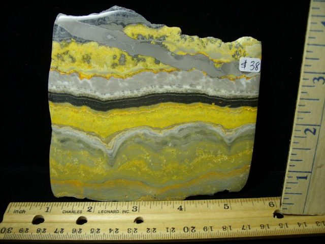 Bubble Bee Jasper Slice  (090120a)