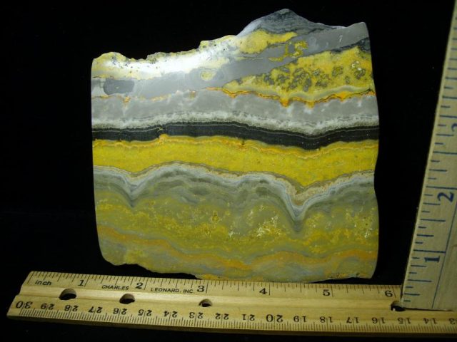 Bubble Bee Jasper Slice  (090120a) - Image 2