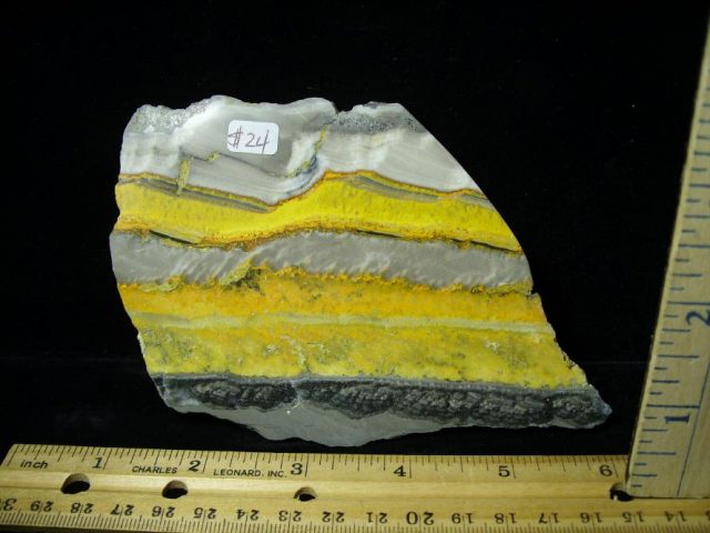 Bubble Bee Jasper Slice  (090120c)