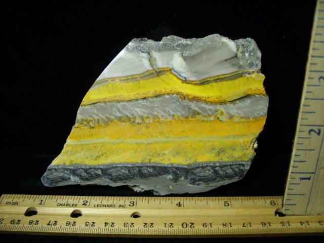 Bubble Bee Jasper Slice  (090120c) - Image 2