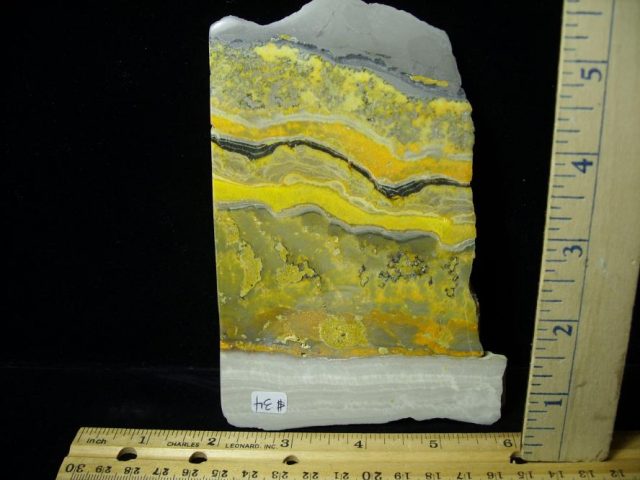Bubble Bee Jasper Slice  (090120d)