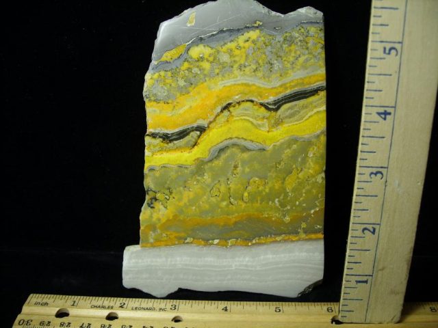 Bubble Bee Jasper Slice  (090120d) - Image 2