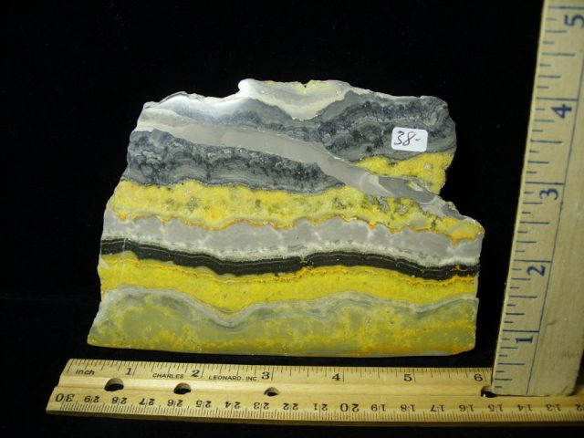 Bubble Bee Jasper Slice  (090120e)