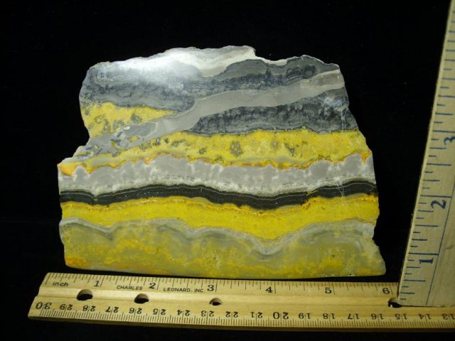 Bubble Bee Jasper Slice  (090120e) - Image 2