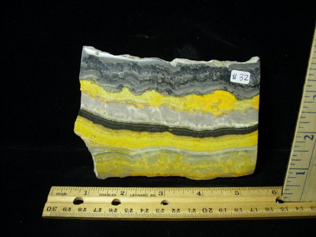 Bubble Bee Jasper Slice  (090120f)