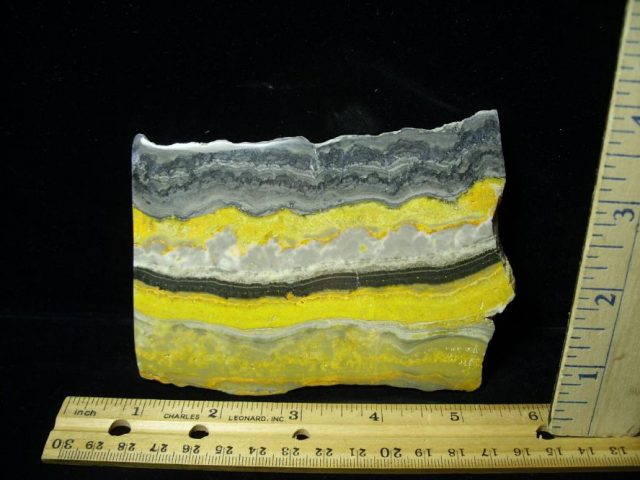 Bubble Bee Jasper Slice  (090120f) - Image 2