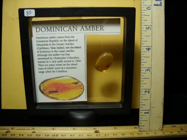 Dominican Amber with Winged Ant & Flies (090120s) - Image 3