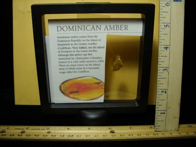 Dominican Amber with Mite & Fly (090120w) - Image 3