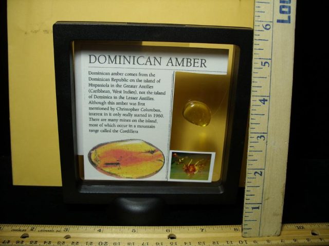 Dominican Amber Specimen with Mite (090120x) - Image 3