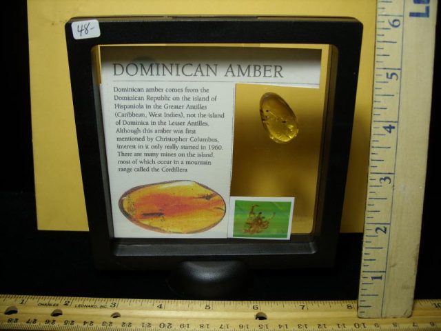 Dominican Amber Specimen with Spider (091020d) - Image 3
