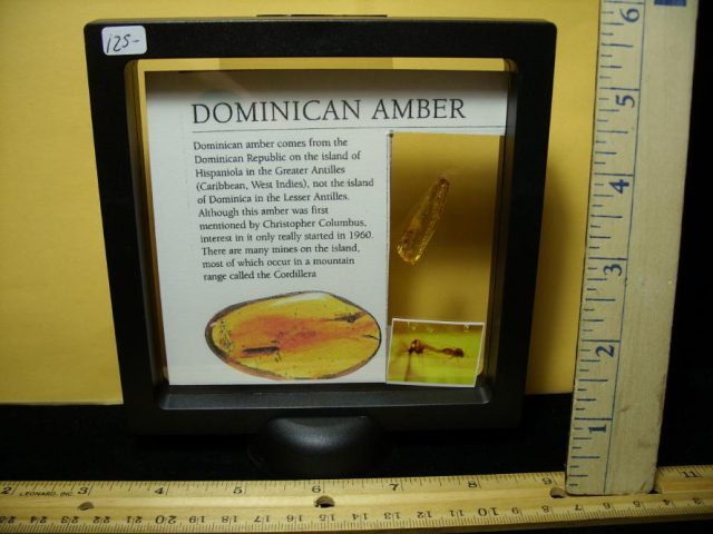 Dominican Amber Specimen with Mating Insects (091020g) - Image 4