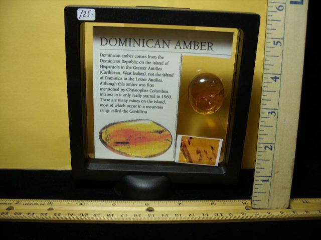 Dominican Amber Specimen with 15 Flies (091020h) - Image 4