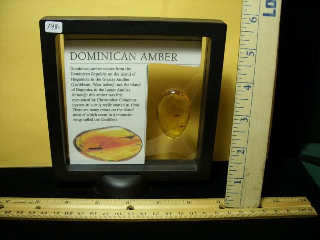 Dominican Amber  with Flies & Flying Ants (091120a) - Image 4