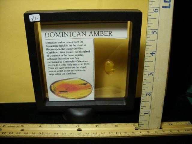 Dominican Amber Specimen with Crane Fly (091020j) - Image 4