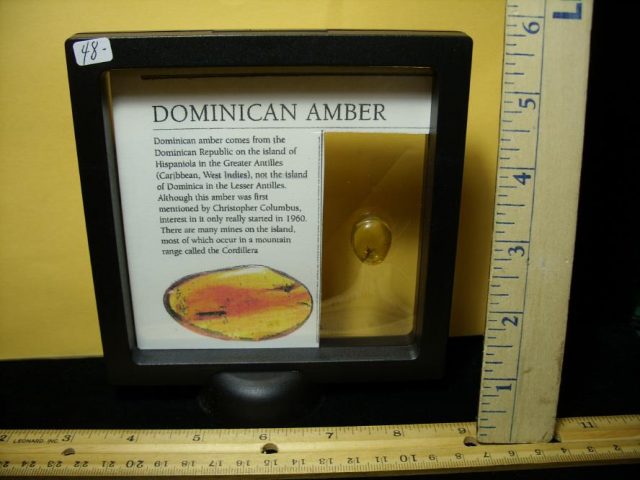 Dominican Amber Specimen with  Fly (091120b) - Image 3