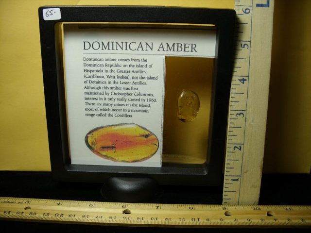 Amber Specimen with 12 Insects  (091120d) - Image 4