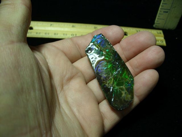 Canadian Ammonite/Ammolite Partial Specimens (100620j) - Image 2