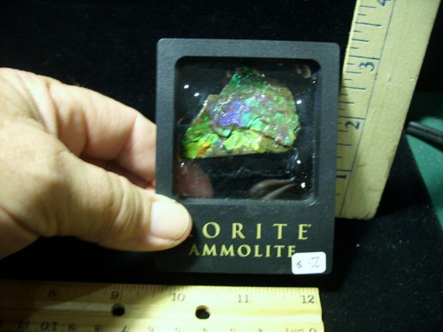 Canadian Ammonite/Ammolite Partial Specimens (100620g) - Image 3