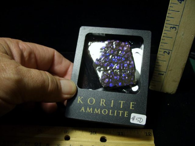 Canadian Ammonite/Ammolite Specimens (100620f) - Image 3
