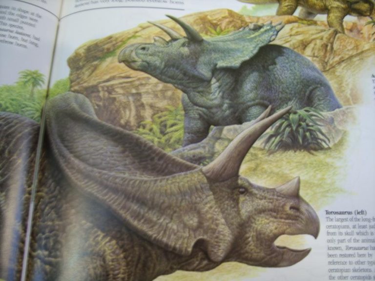 dinosaur shield head