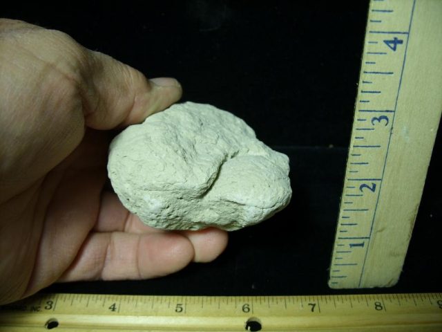 Fossil Tortoise Egg (120220b) - Image 2
