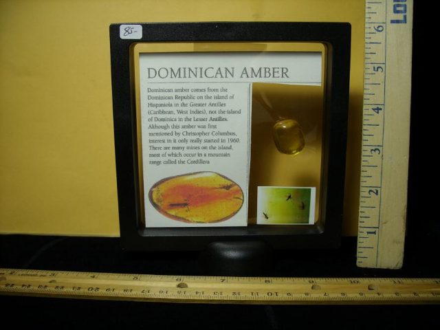 Dominican Amber Specimen with Insect (121120b) - Image 2