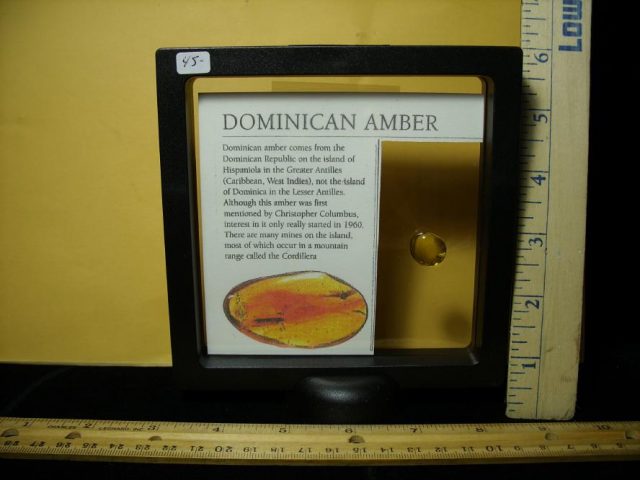 Dominican Amber Specimen with Insect (121120j) - Image 2