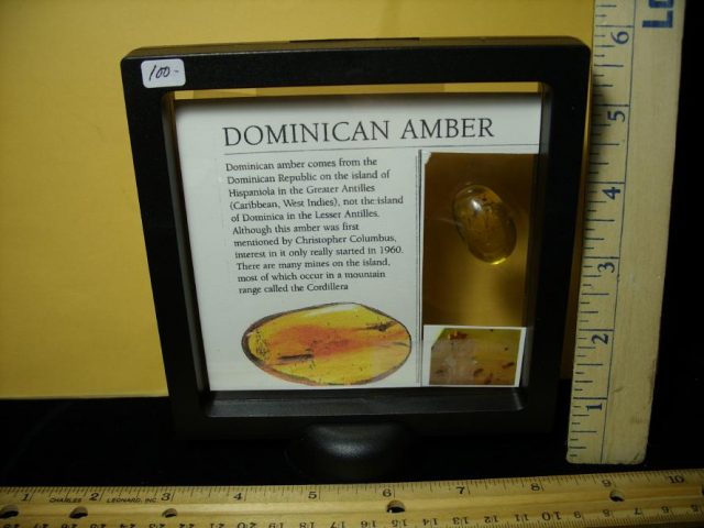 Dominican Amber Specimen with Insect (121120d) - Image 2