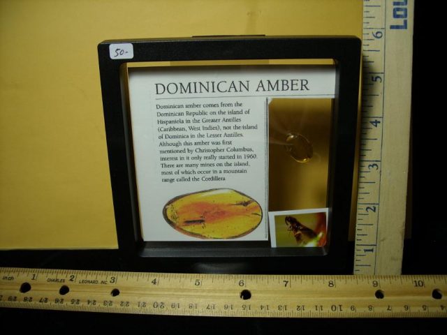 Dominican Amber Specimen with Insect (121120h) - Image 2