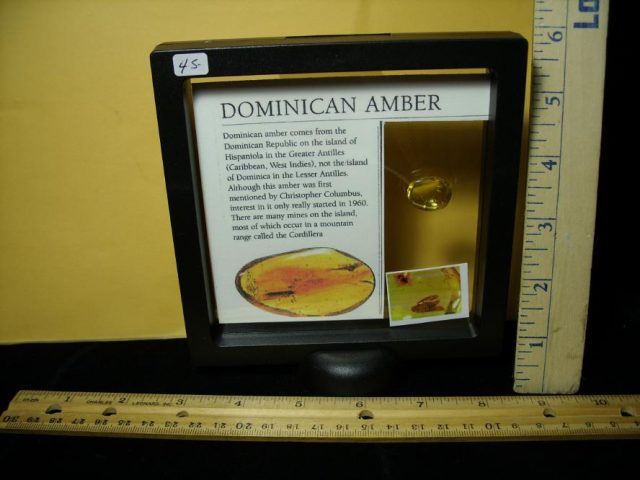 Dominican Amber Specimen with Insect (121120g) - Image 2