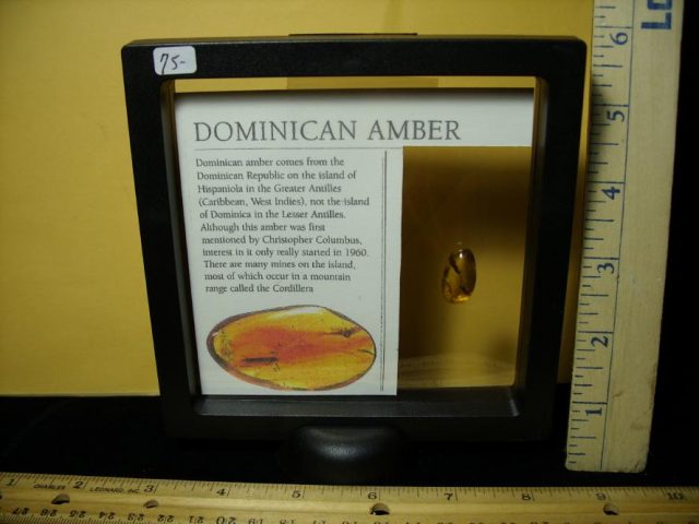 Dominican Amber Specimen with Insect (121120e) - Image 2