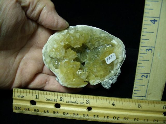 Fossilized Calcite Crystal filled Clam (122120h)