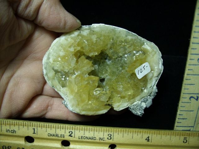 Fossilized Calcite Crystal filled Clam (122120h) - Image 2