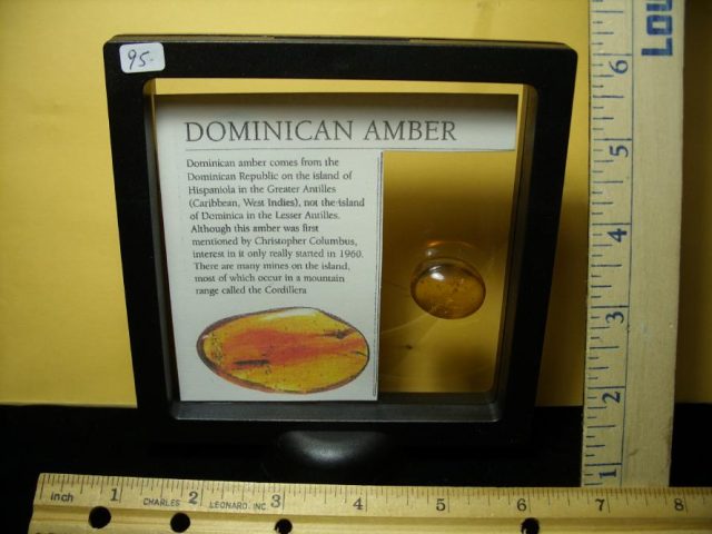 Dominican Amber with 8 Flies & Spider(122320a) - Image 2