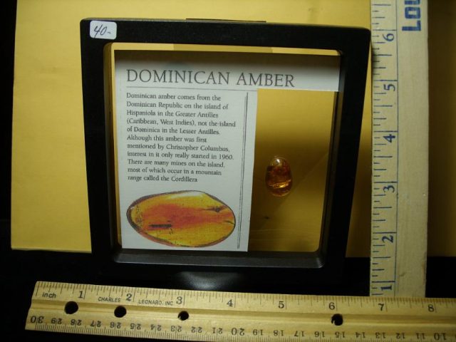 Dominican Amber Specimen with Spider(122320c) - Image 3