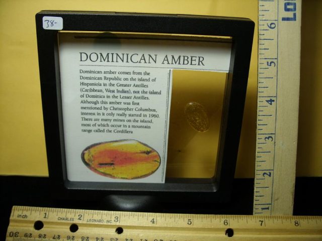 Dominican Amber with Fungus Gnat(122320e) - Image 2