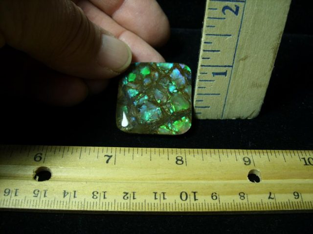 Canadian Ammonite/Ammolite  (122720s) - Image 2