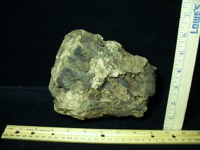Hadrosaur (Duckbill) Dinosaur Partial Femur (013521b) - Image 3