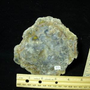 Dinosaur Coprolite  (Poop) (022121nt)