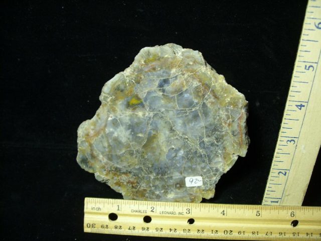 Dinosaur Coprolite  (Poop) (022121nt)