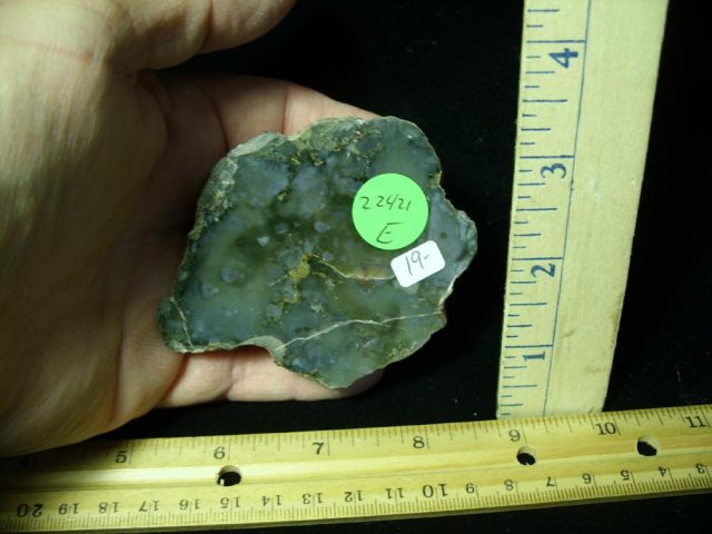 Dinosaur Coprolite  (Poop) (022421e)