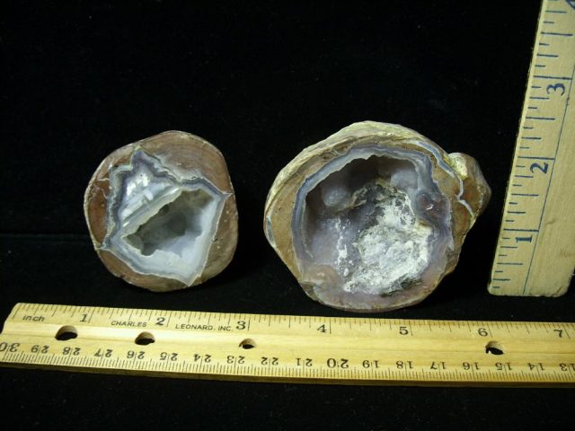 "Thunder Egg"  Halves (030921c)
