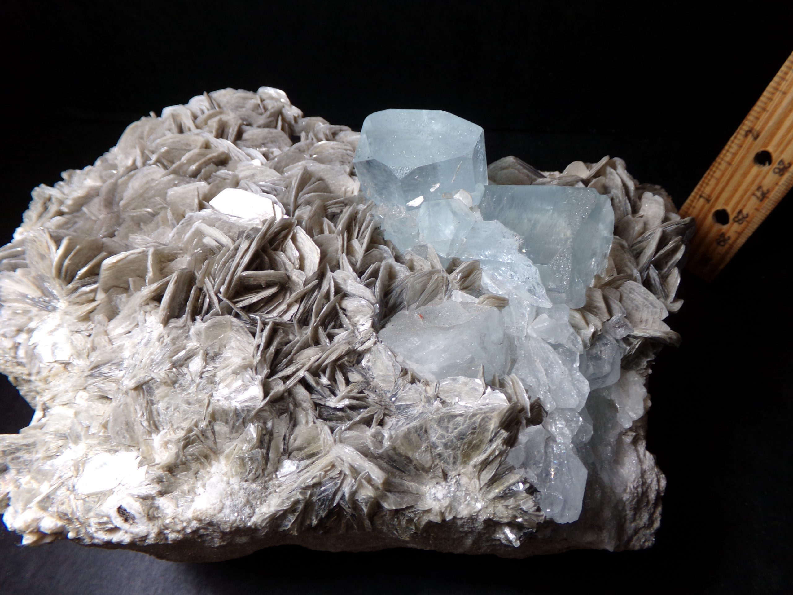 Aquamarine Crystals on Muscovite (040921b) - The Stones & Bones Collection