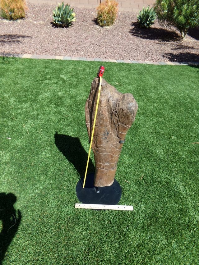Hadrosaur (Duckbill Dinosaur) Partial Femur (041021f) - Image 2