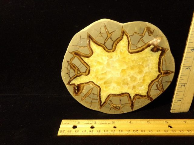 Large Septarian Nodule Slice  (042521j)