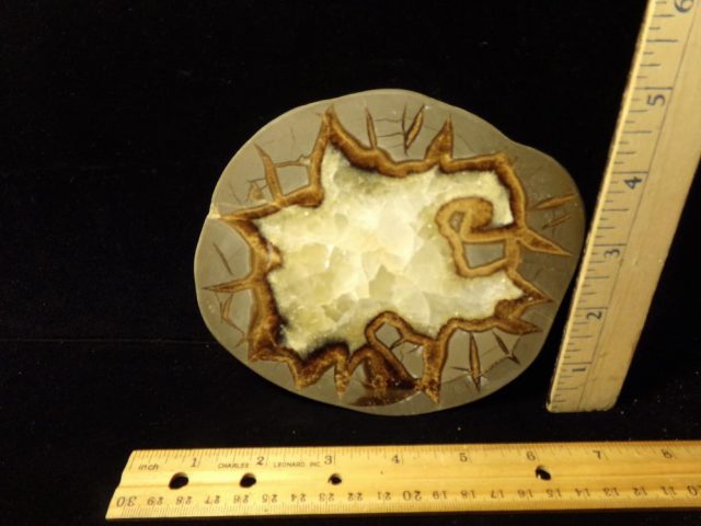 Large Septarian Nodule Slice  (042521h)