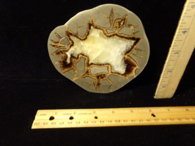 Large Septarian Nodule Slice  (042521r)