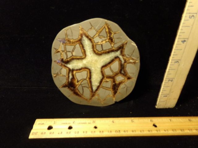 Large Septarian Nodule Slice  (042521s)