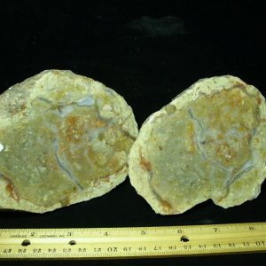 Dinosaur Coprolite  (Poop) (041821a)